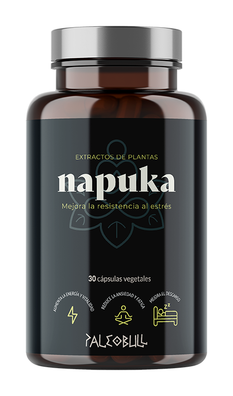 paleobull-napuka-ashwagandha-rhodiola-ginseng-g-lules-30-stress image 1
