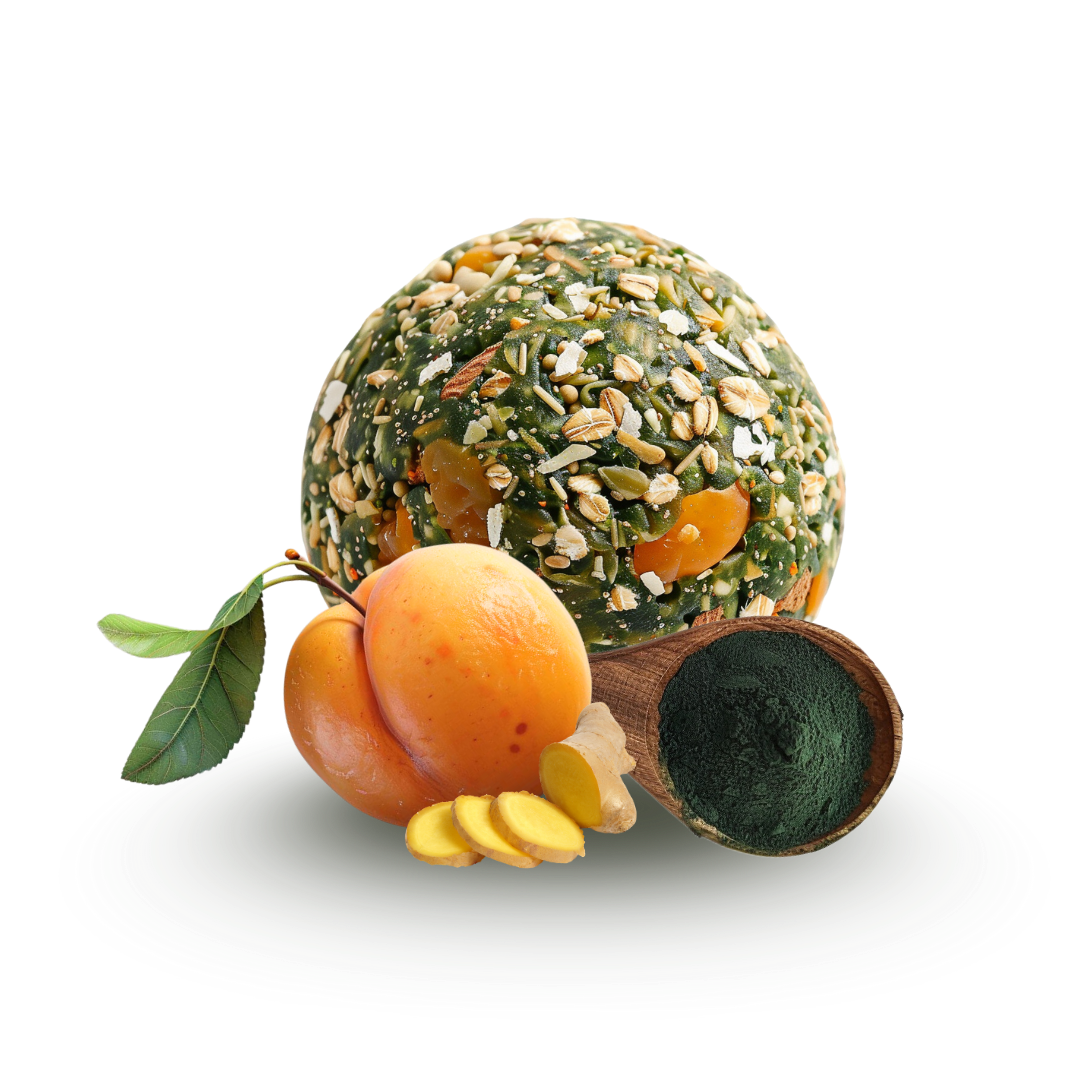 n-ttree-energy-balls-prot-in-es-bio-abricot-gingembre-2x15g image 1
