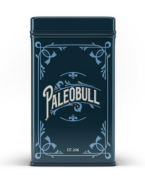 paleobull-lata-bo-te-m-tallique-bleue-19-x-10-x-24-cm image 1