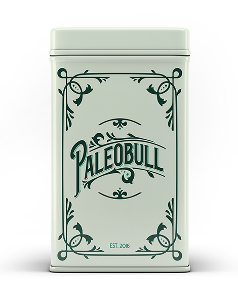 paleobull-lata-bo-te-m-tallique-bleue-19-x-10-x-24-cm image 3