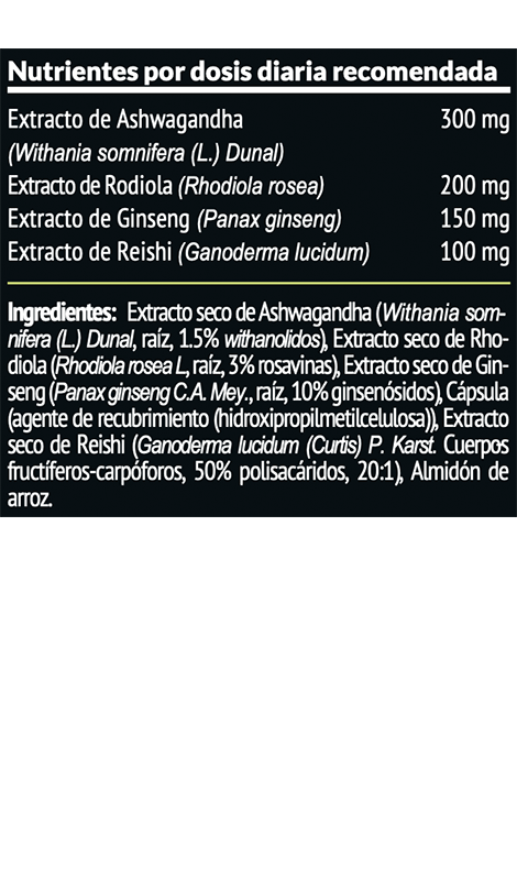 paleobull-napuka-ashwagandha-rhodiola-ginseng-g-lules-30-stress image 2