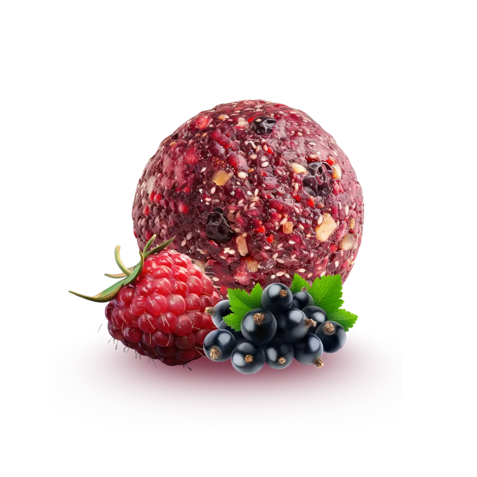 n-ttree-d-lices-framboise-cassis-energy-balls-2x15g-bio image 1