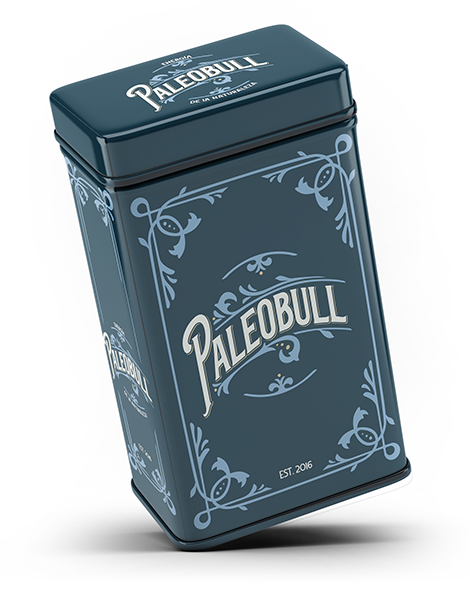 paleobull-lata-bo-te-m-tallique-bleue-19-x-10-x-24-cm image 4
