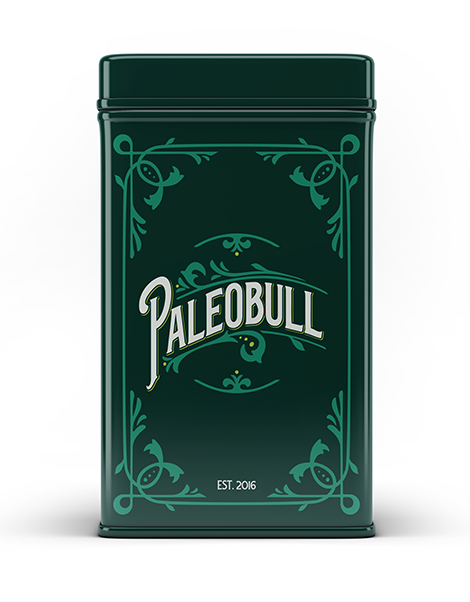paleobull-lata-bo-te-m-tallique-bleue-19-x-10-x-24-cm image 2
