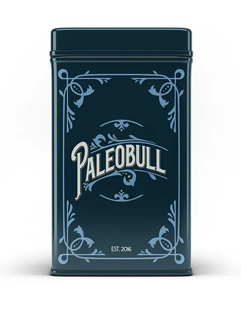 paleobull-lata-bo-te-m-tallique-bleue-19-x-10-x-24-cm image 1