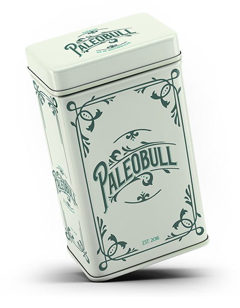 paleobull-lata-bo-te-m-tallique-bleue-19-x-10-x-24-cm image 6