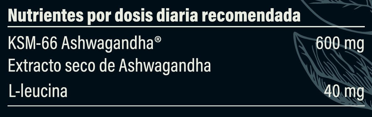 paleobull-ashwagandha-ksm-66-g-lules-60-g-lules image 2