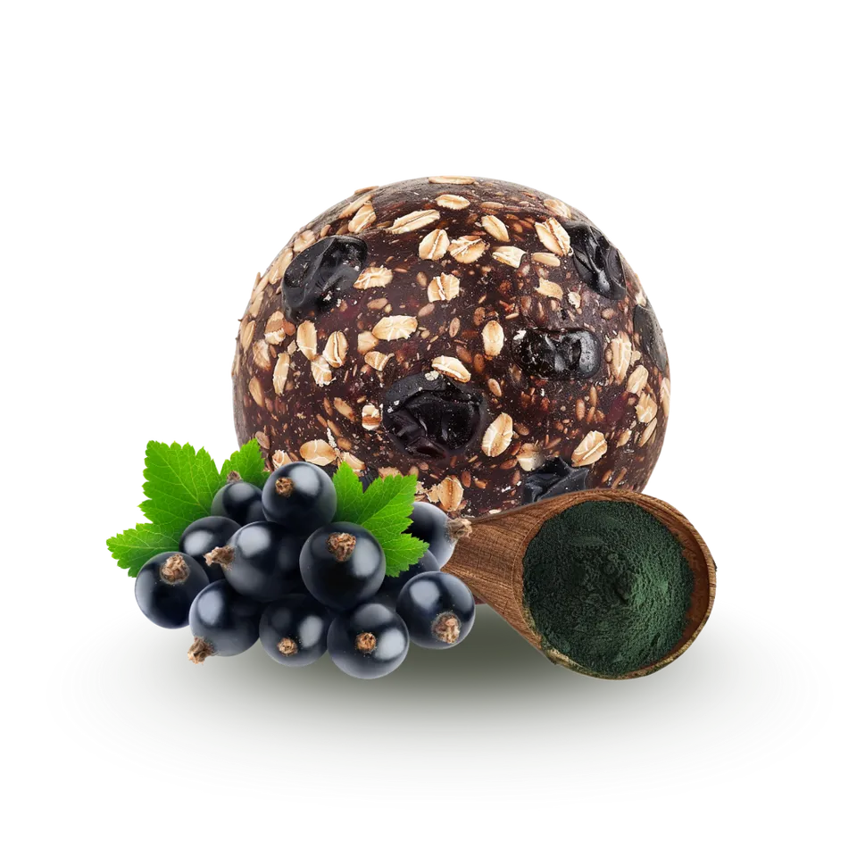 n-ttree-prot-in-es-cassis-spiruline-energy-balls-2x15g-bio image 1