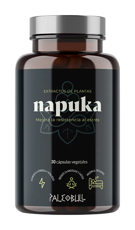 paleobull-napuka-ashwagandha-rhodiola-ginseng-g-lules-30-stress image 1