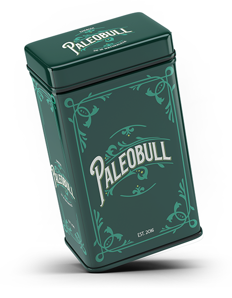 paleobull-lata-bo-te-m-tallique-bleue-19-x-10-x-24-cm image 5